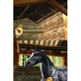 Horse life