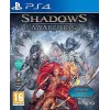 Shadow Awakening PS4