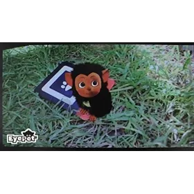 EyePet