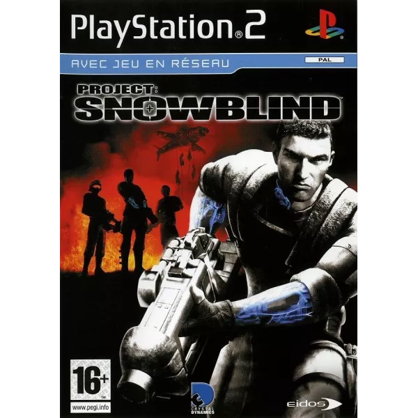 Project : Snowblind PS2