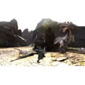 Monster hunter 3