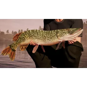 Fishing Sim World PS4