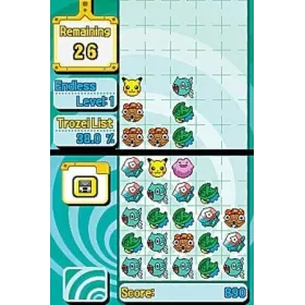Pokemon Link ! Nintendo DS