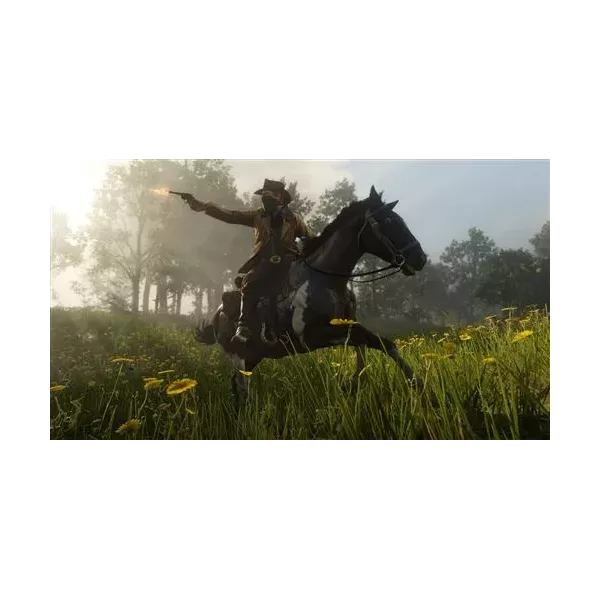 Red Dead Redemption 2 PS4