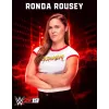 WWE 2K19 Xbox One