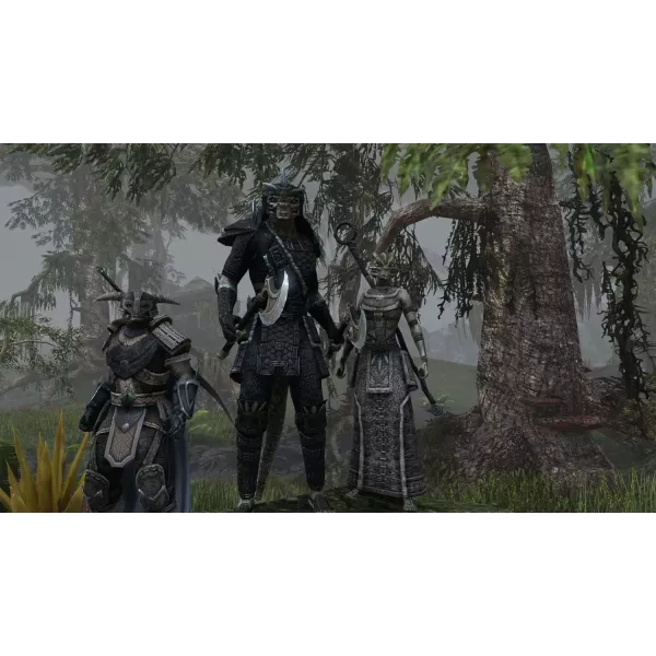 The Elder Scrolls Online PC et Mac – Neuf sous blister, 72€