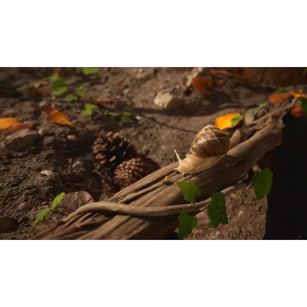 Les Fourmis Édition Limitée Xbox Series X