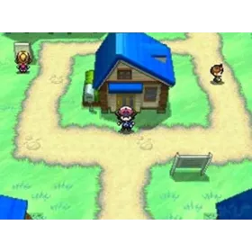 Pokémon Version Blanche Nintendo DS - Jeu DS | NetGamesRetro