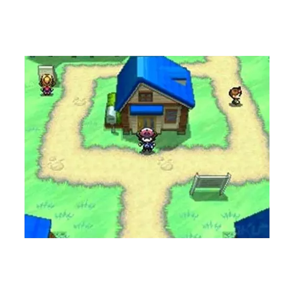 Pokémon Version Blanche Nintendo DS - Jeu DS | NetGamesRetro