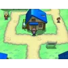 Pokémon Version Blanche Nintendo DS - Jeu DS | NetGamesRetro
