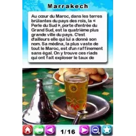 Petit fute : travel & play DS